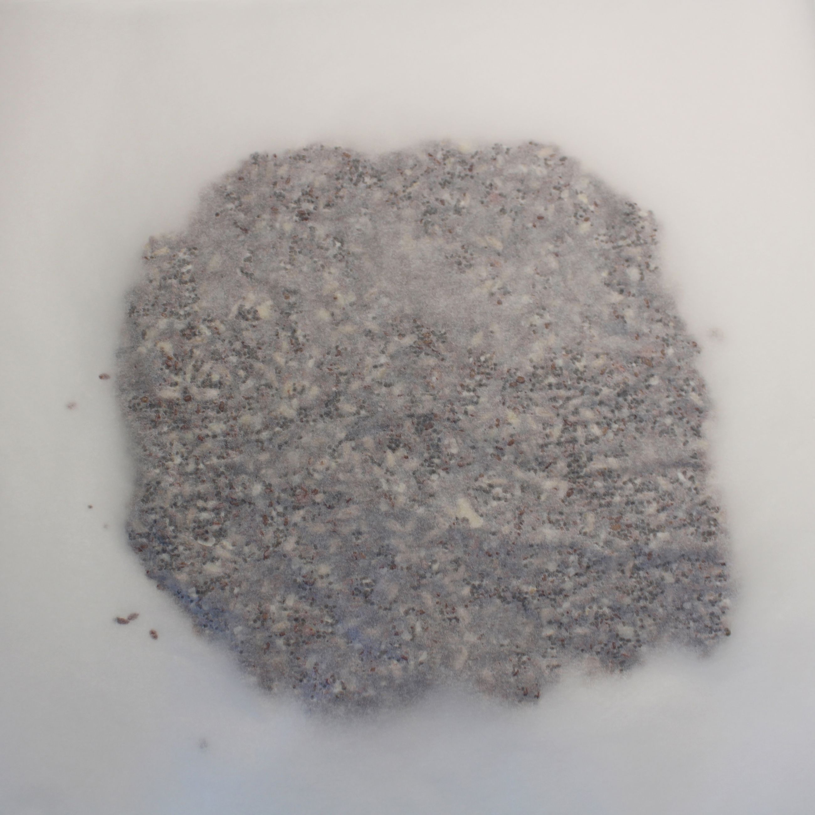 Billede 1 Knækbrødsdej rulles ud