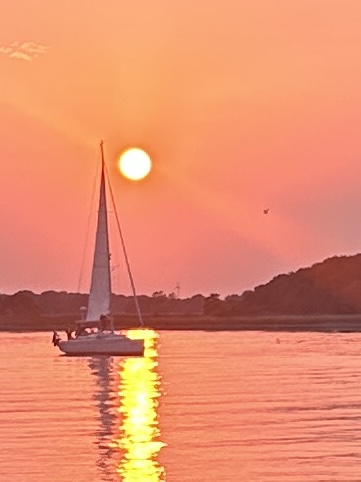 Sejlbåd i solnedgang ved Egholm