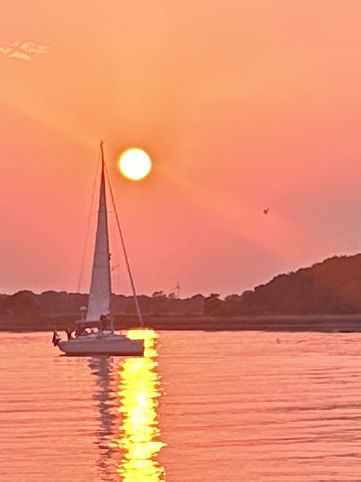 Sejlbåd i solnedgang ved Egholm