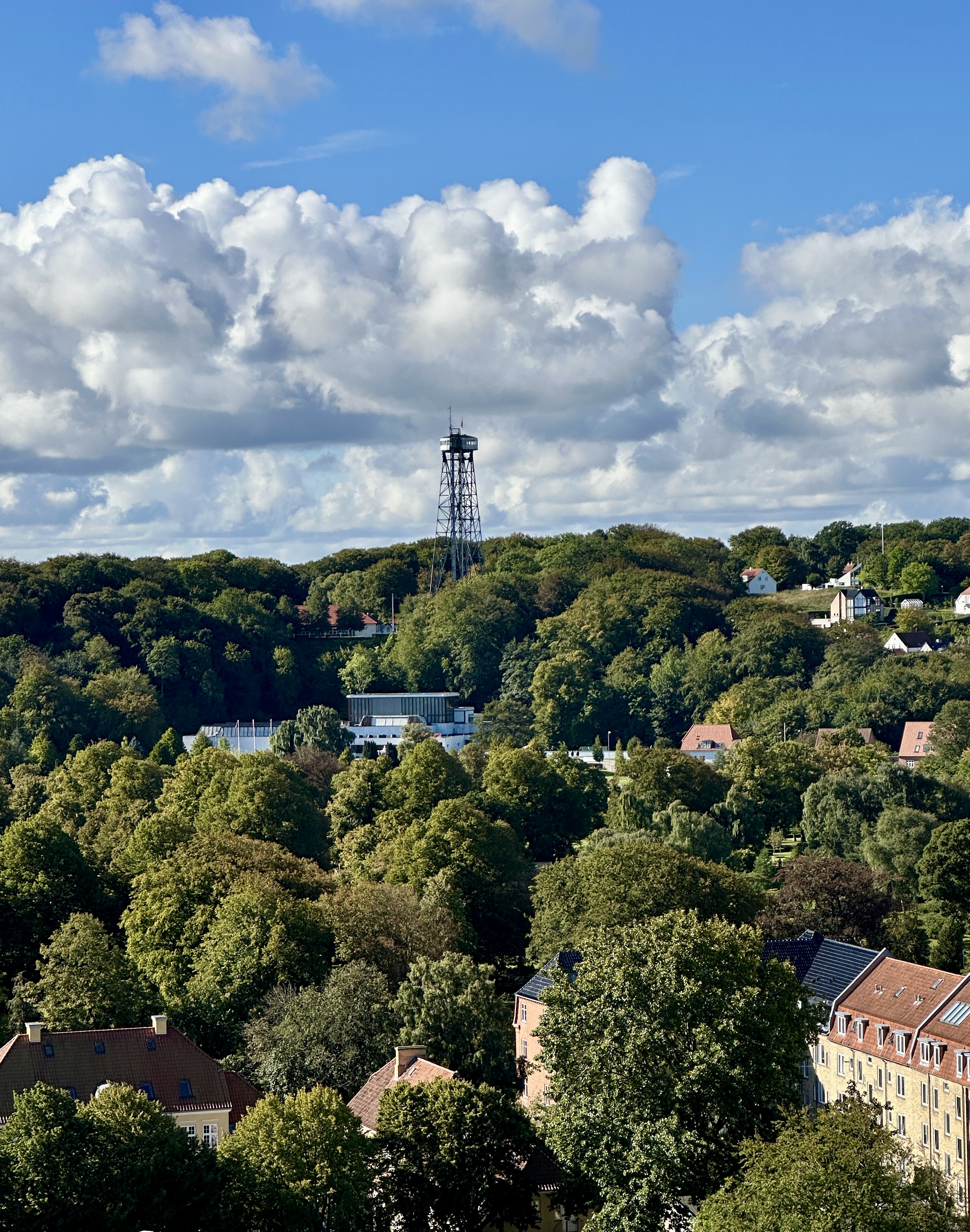 Man kan se Aalborgtårnet fra kantinen
