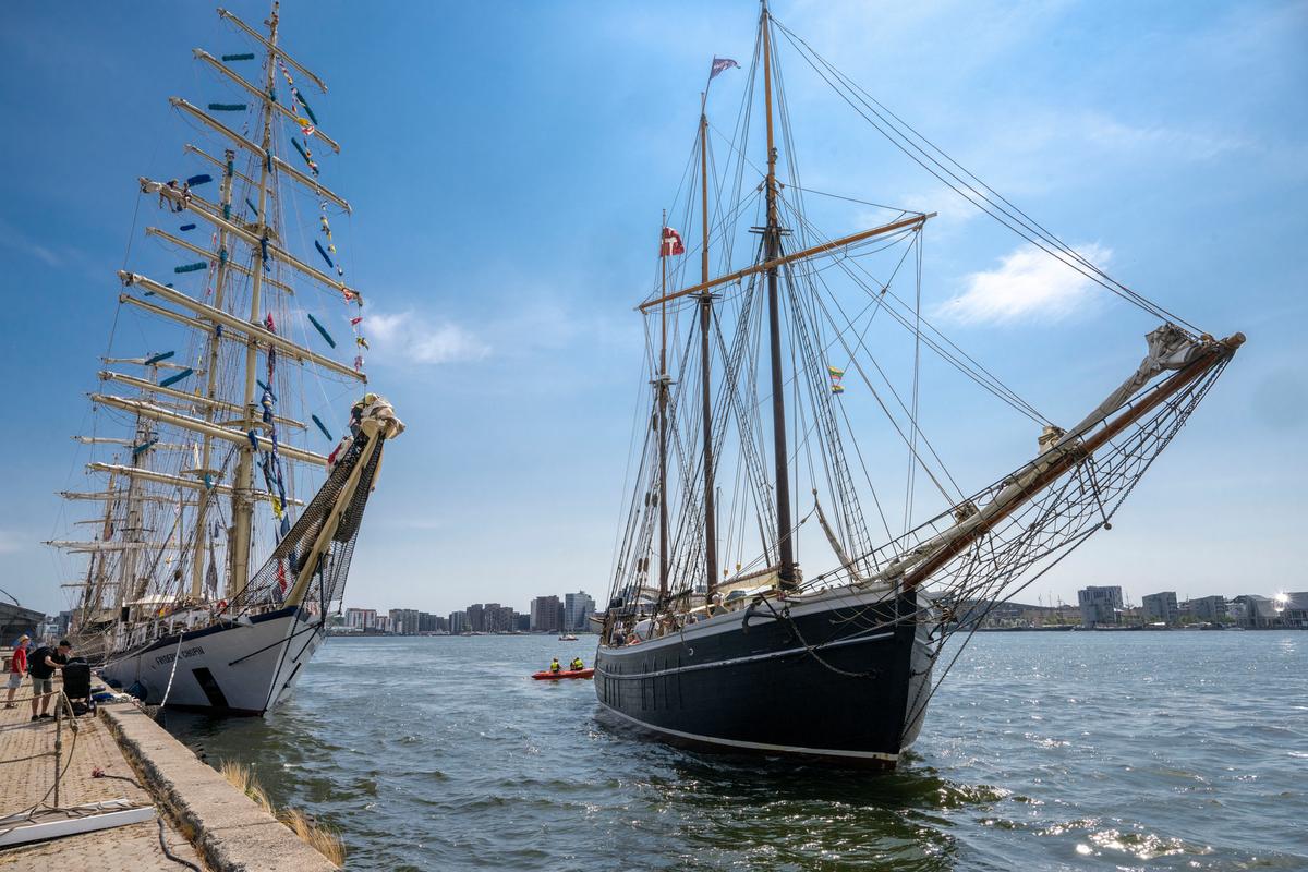 Tall Ships Race 2026
